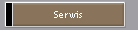 Serwis