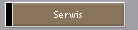 Serwis